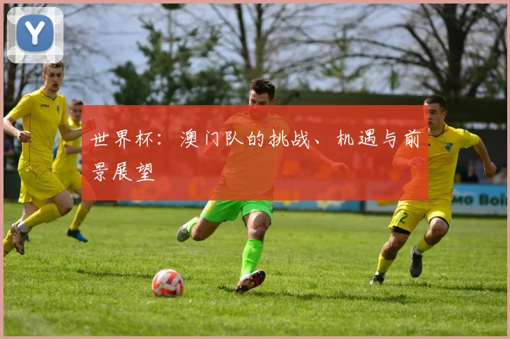 世界杯：澳门队的挑战、机遇与前景展望