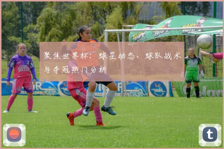 聚焦世界杯：球星动态、球队战术与夺冠热门分析