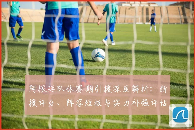 阿根廷队休赛期引援深度解析:新援评分、阵容短板与实力补强评估